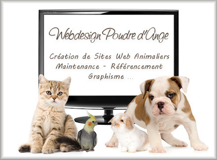 webdesign poudre dange